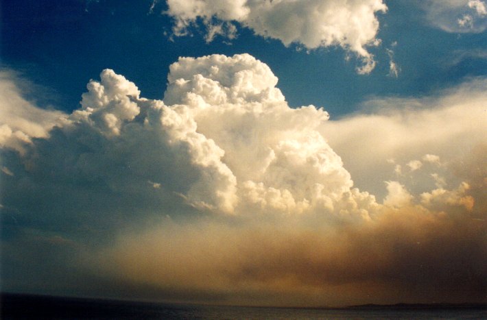 thunderstorm cumulonimbus_calvus : Woodburn, NSW   22 December 2001