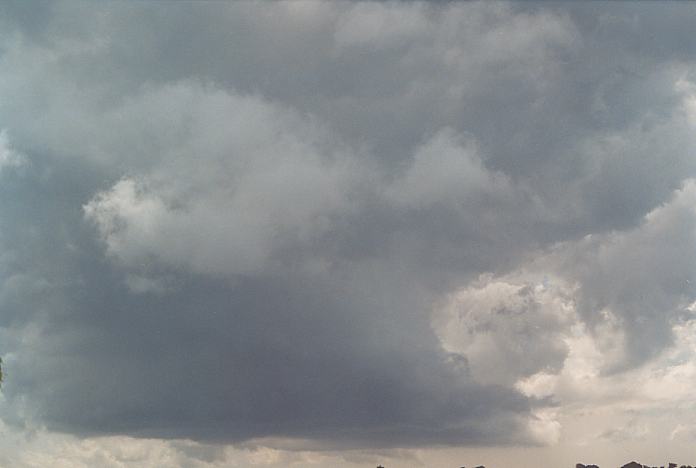 cumulonimbus thunderstorm_base : Comboyne, NSW   23 December 2001