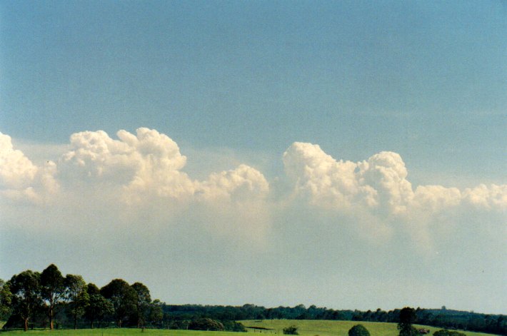 cumulus congestus : Lindendale, NSW   24 December 2001