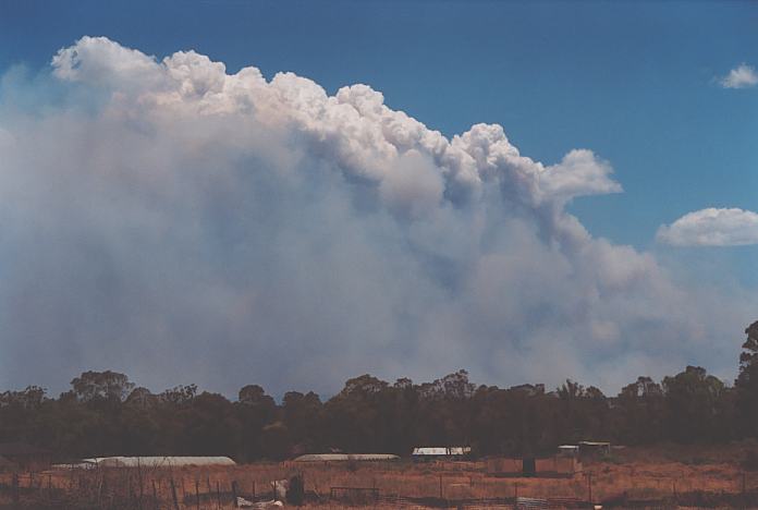 cumulus pyrocumulus : Schofields, NSW   25 December 2001