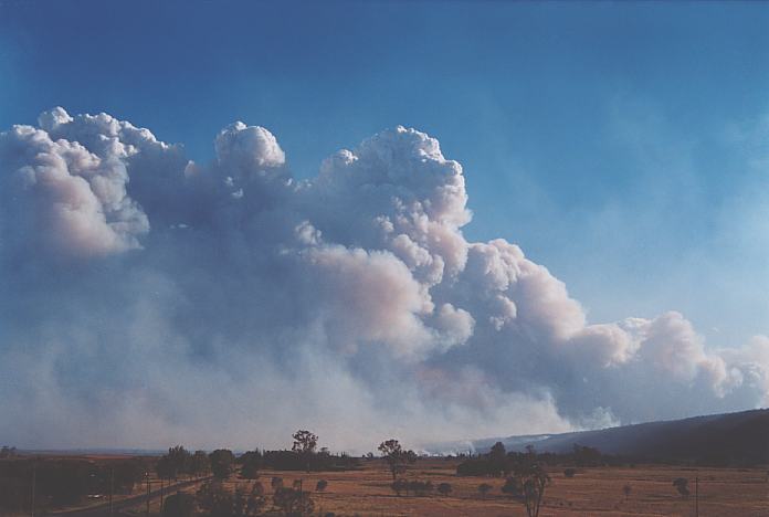 cumulus pyrocumulus : Castlereagh, NSW   25 December 2001