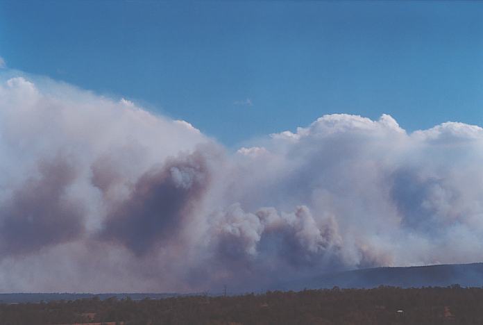 bushfire wild_fire : Kurrajong, NSW   26 December 2001