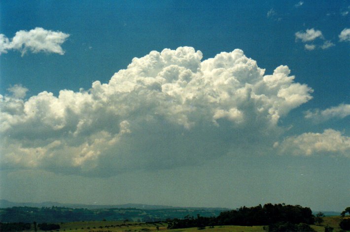 cumulus congestus : McLeans Ridges, NSW   29 December 2001