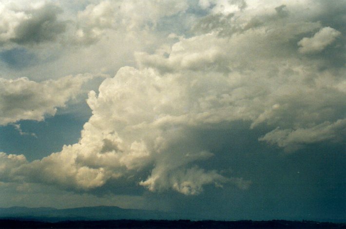 cumulonimbus thunderstorm_base : McLeans Ridges, NSW   29 December 2001