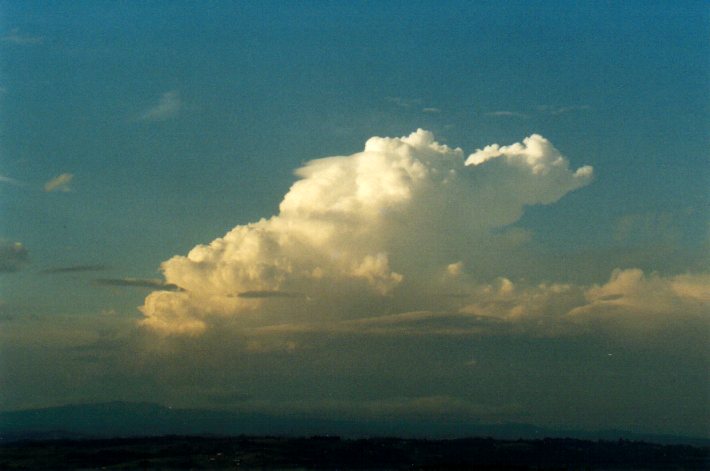 pileus pileus_cap_cloud : McLeans Ridges, NSW   29 December 2001