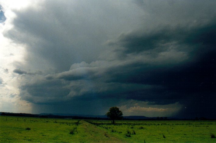 cumulonimbus thunderstorm_base : N of Casino, NSW   30 December 2001