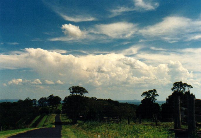 cirrus cirrus_cloud : Tregeagle, NSW   1 January 2002