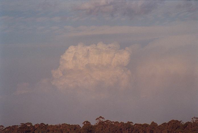 pileus pileus_cap_cloud : Schofields, NSW   7 January 2002