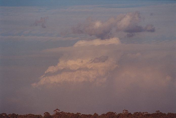 pileus pileus_cap_cloud : Schofields, NSW   7 January 2002