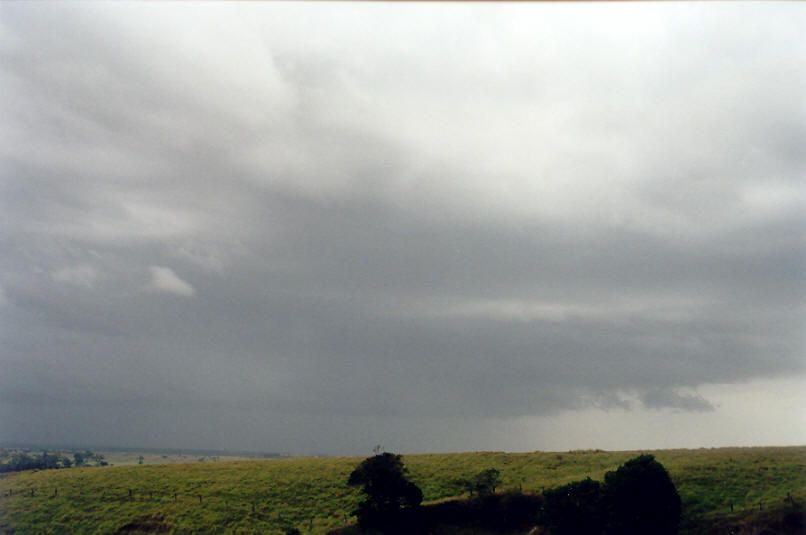 cumulonimbus thunderstorm_base : Parrots Nest, NSW   16 January 2002