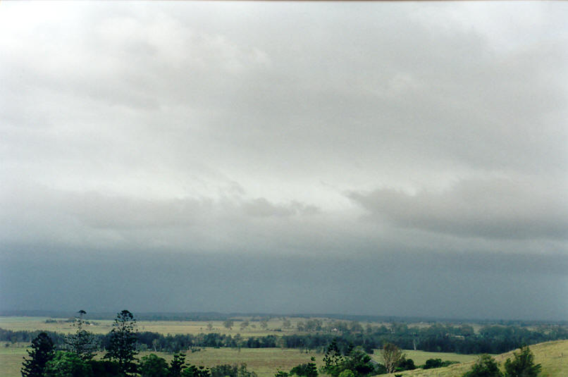 cumulonimbus thunderstorm_base : Parrots Nest, NSW   16 January 2002