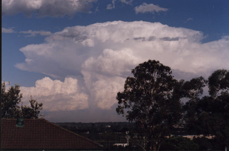 contributions received : Penrith area, NSW<BR>Photo by Jeff Brislane   8 February 2002