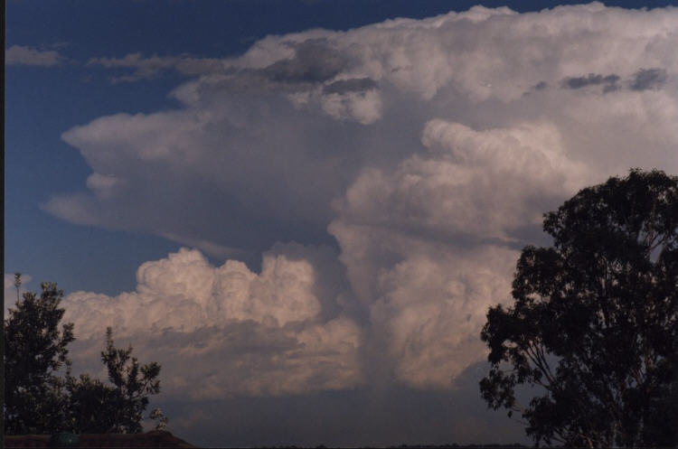 contributions received : Penrith area, NSW<BR>Photo by Jeff Brislane   8 February 2002