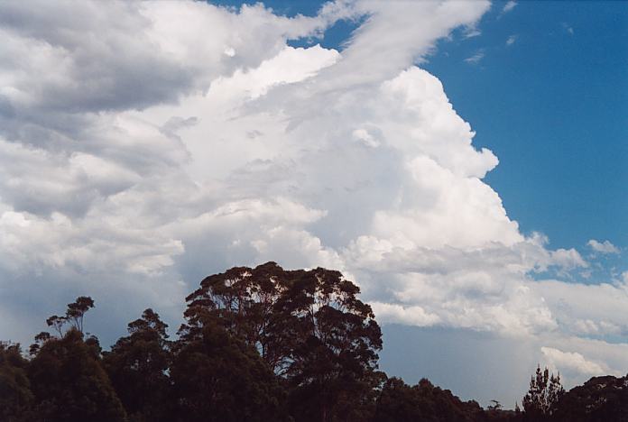 cumulonimbus supercell_thunderstorm : Ourimbah, NSW   8 February 2002