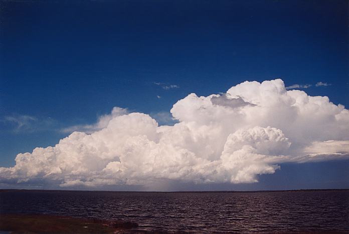 cumulonimbus supercell_thunderstorm : E of Raymond Terrace, NSW   8 February 2002