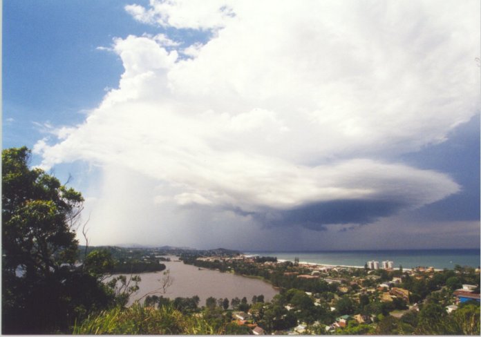 contributions received : Collaroy Plateau , NSW<BR>Photo by Judy Mayo   8 February 2002