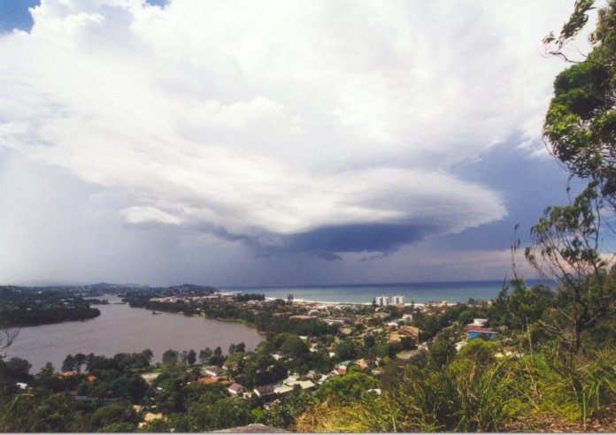 contributions received : Collaroy Plateau , NSW<BR>Photo by Judy Mayo   8 February 2002