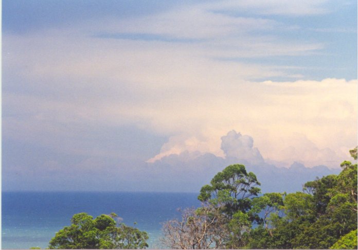 contributions received : Collaroy Plateau , NSW<BR>Photo by Judy Mayo   8 February 2002