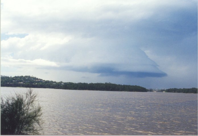 contributions received : Lakeside, NSW<BR>Photo by Judy Mayo   8 February 2002
