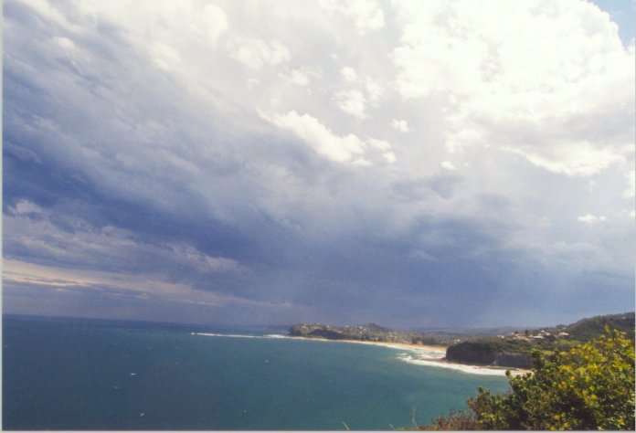 contributions received : Bilgola, NSW<BR>Photo by Judy Mayo   8 February 2002