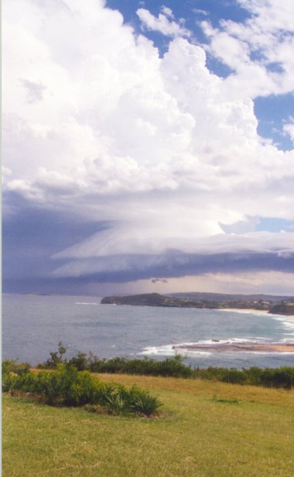 contributions received : Mona Vale Headland, NSW<BR>Photo by Judy Mayo   8 February 2002