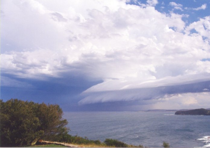 contributions received : Mona Vale Headland, NSW<BR>Photo by Judy Mayo   8 February 2002