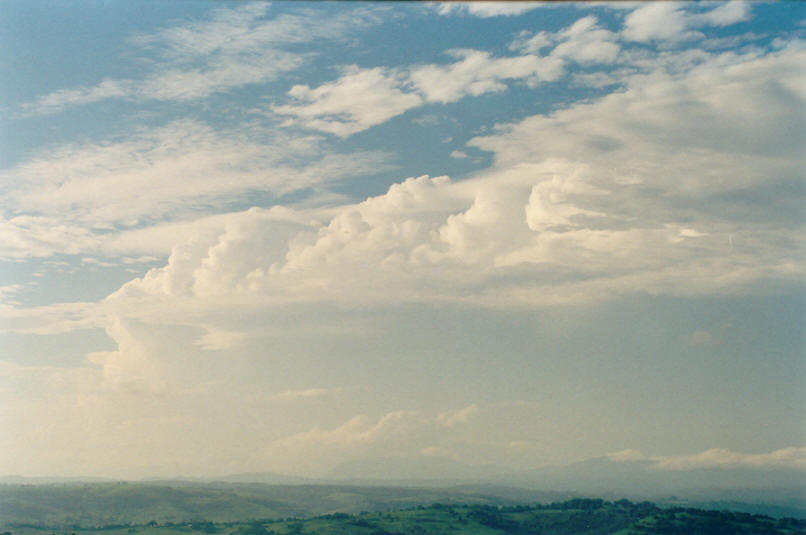 pileus pileus_cap_cloud : McLeans Ridges, NSW   8 February 2002