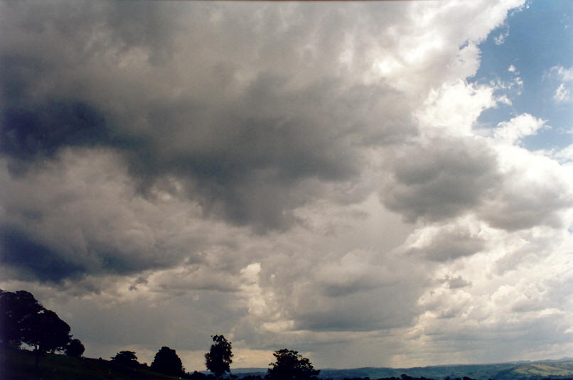 cumulonimbus thunderstorm_base : McLeans Ridges, NSW   1 March 2002