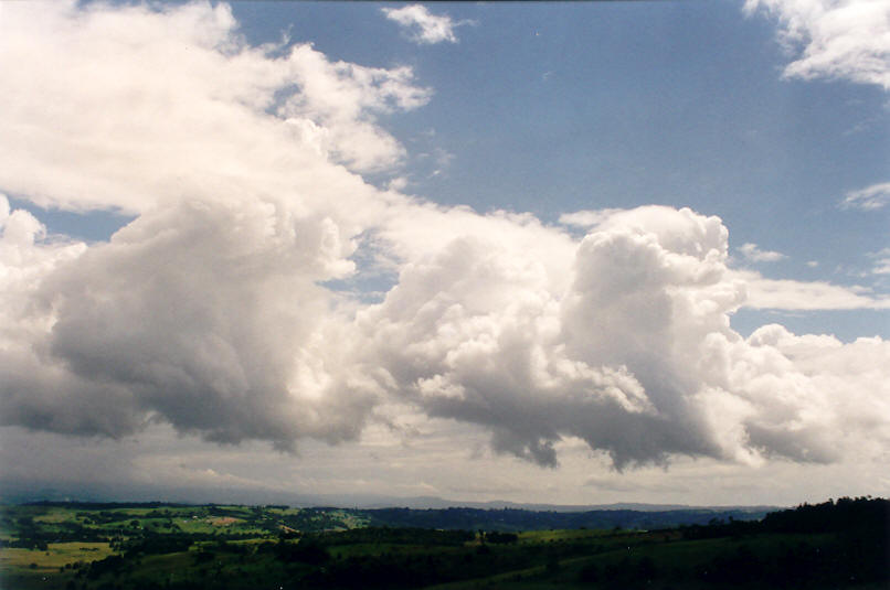 cumulus congestus : McLeans Ridges, NSW   3 March 2002