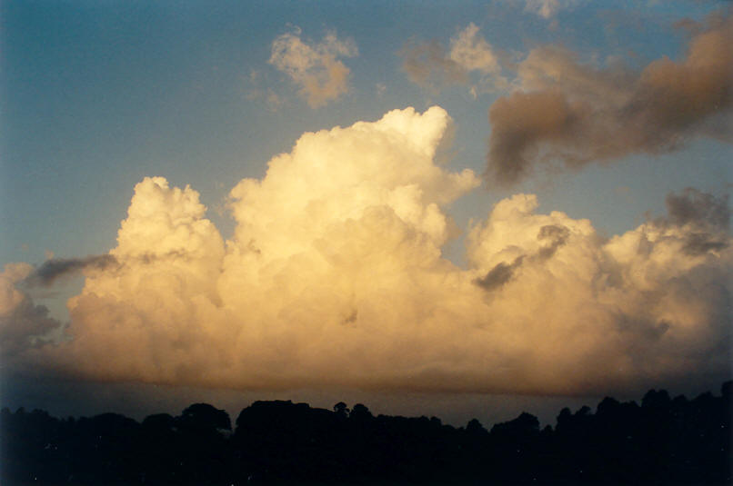cumulus congestus : McLeans Ridges, NSW   13 March 2002