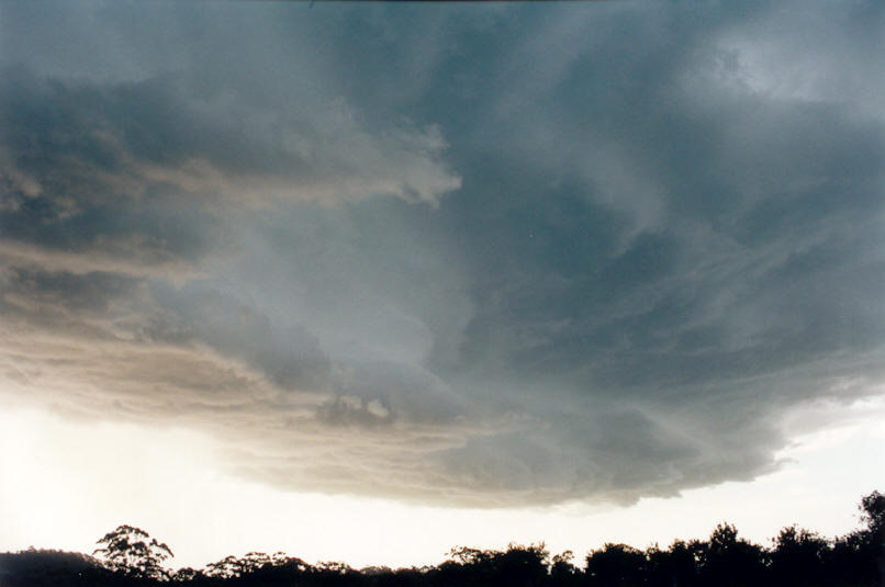 shelfcloud shelf_cloud : Tregeagle, NSW   26 March 2002