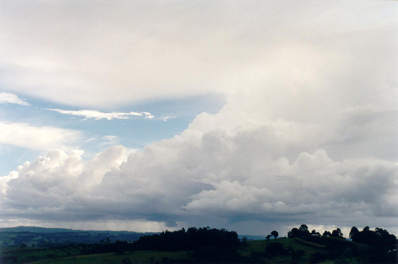 cumulus congestus : McLeans Ridges, NSW   28 March 2002