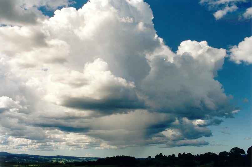 cumulus congestus : McLeans Ridges, NSW   30 March 2002