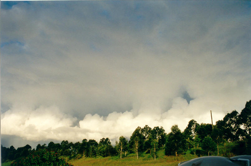 cumulus congestus : McLeans Ridges, NSW   8 April 2002