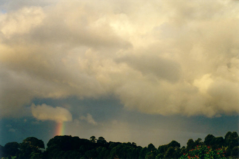 cumulus congestus : McLeans Ridges, NSW   8 April 2002