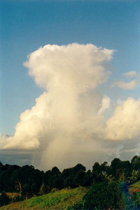 favourites michael_bath : McLeans Ridges, NSW   14 April 2002