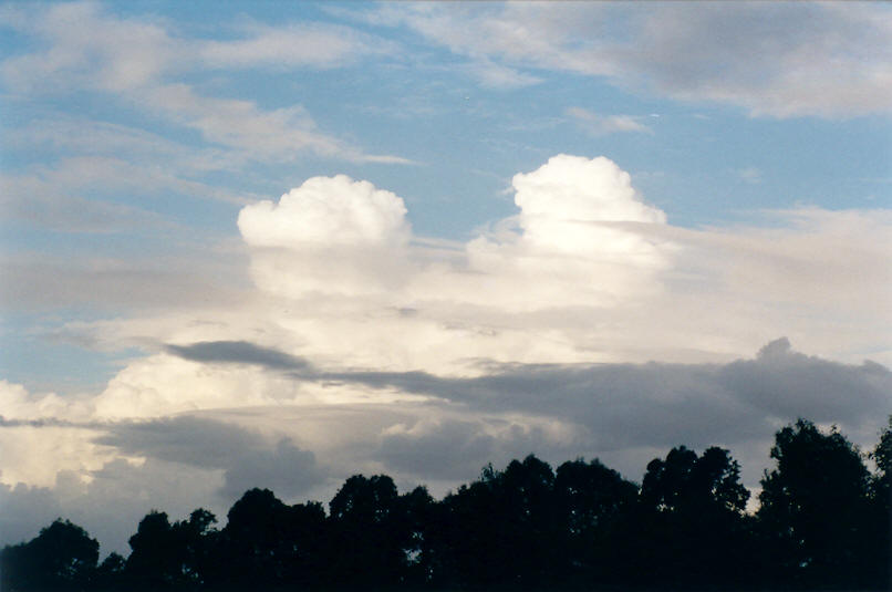 cumulus congestus : McLeans Ridges, NSW   5 May 2002