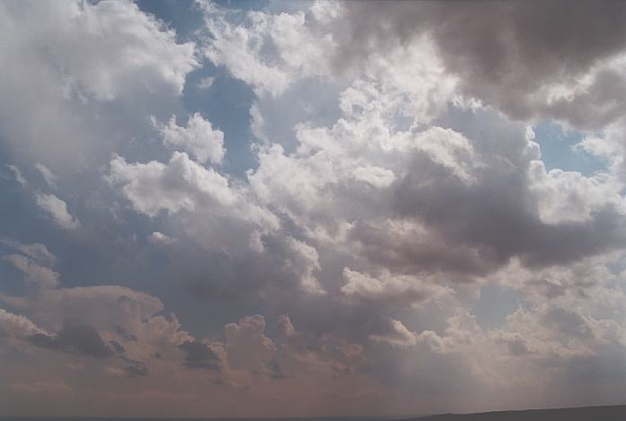 cumulus congestus : N of Canadian, Texas, USA   23 May 2002