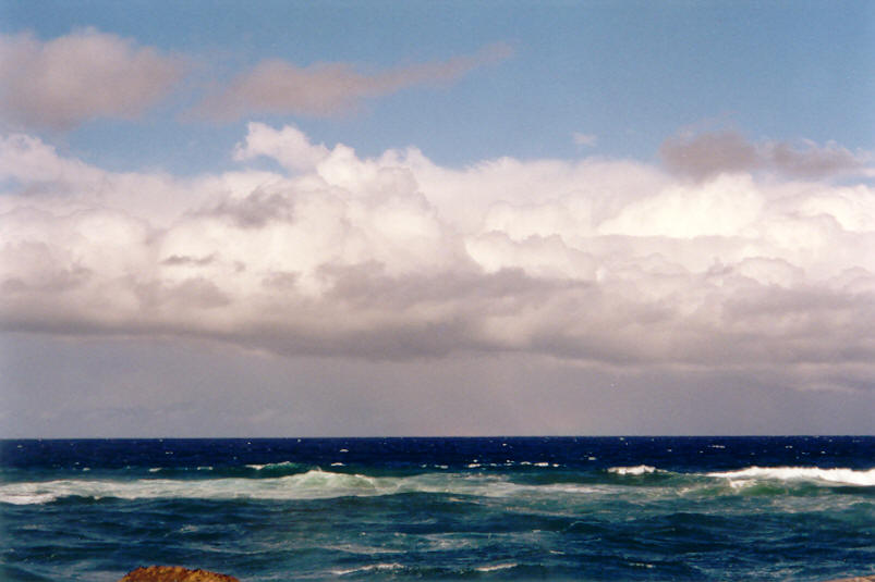 cumulus mediocris : Ballina, NSW   26 May 2002