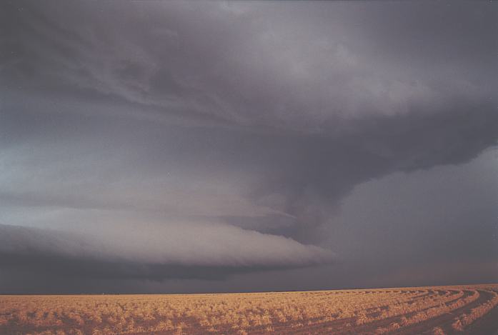 cumulonimbus thunderstorm_base : McCoy, Texas, USA   4 June 2002