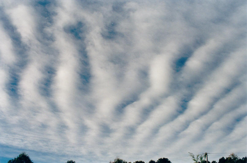 favourites michael_bath : McLeans Ridges, NSW   14 June 2002