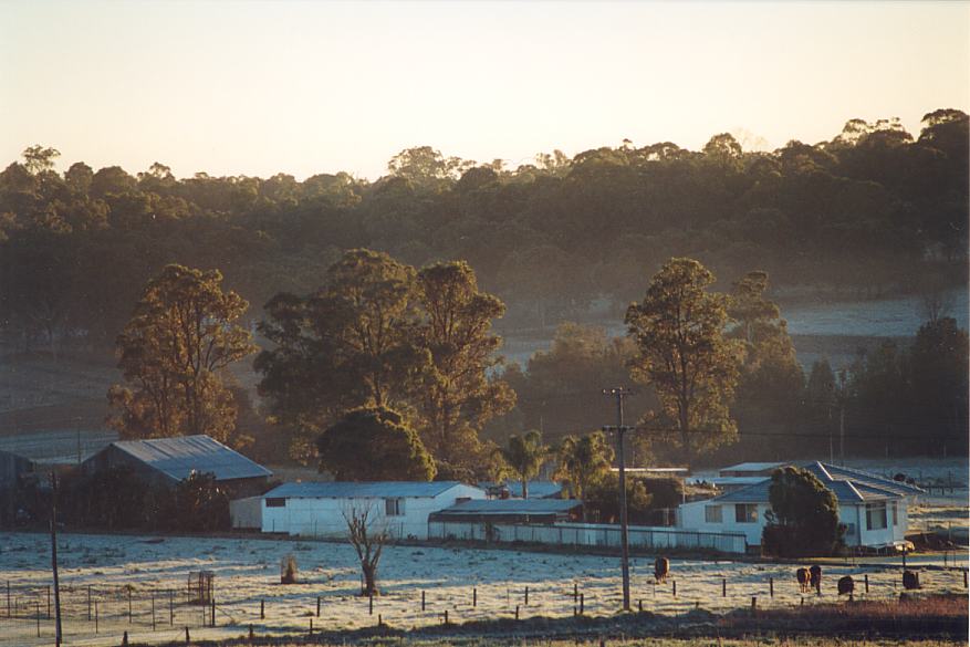 fogmist fog_mist_frost : Schofields, NSW   12 July 2002