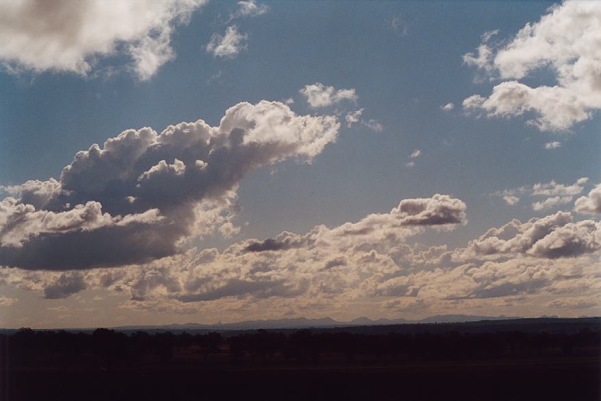 cumulus congestus : N of Coolah, NSW   6 September 2002