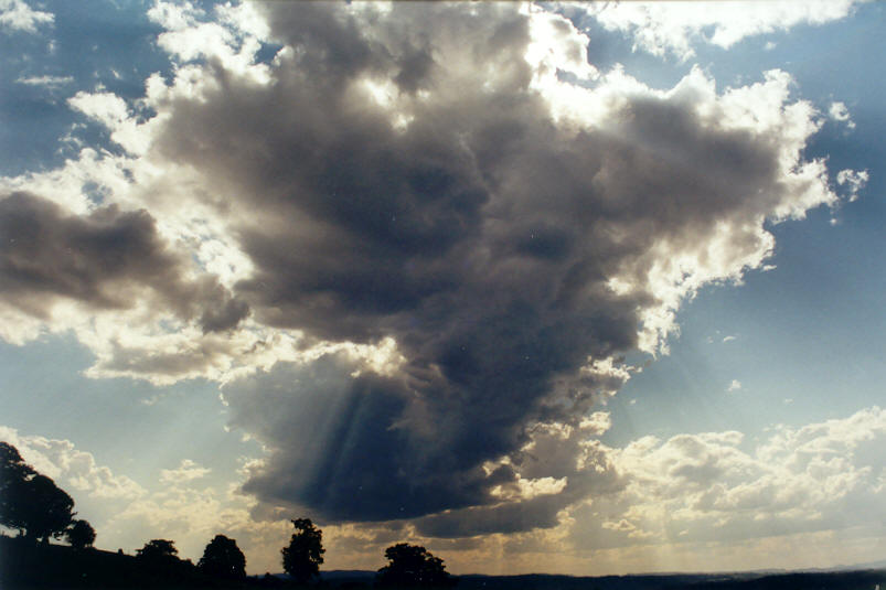 cumulus mediocris : McLeans Ridges, NSW   7 September 2002