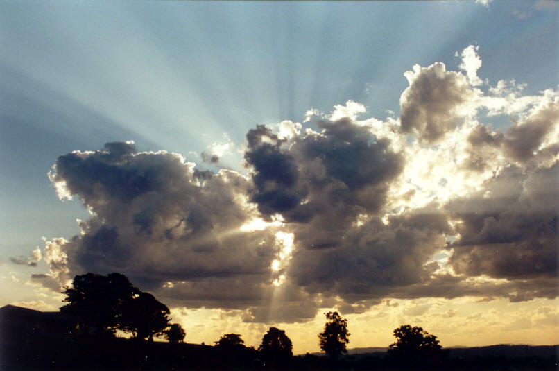 cumulus mediocris : McLeans Ridges, NSW   7 September 2002