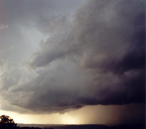 cumulonimbus thunderstorm_base : McLeans Ridges, NSW   23 September 2002