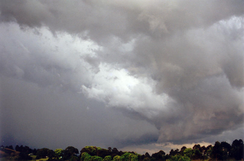 cumulonimbus thunderstorm_base : McLeans Ridges, NSW   23 September 2002