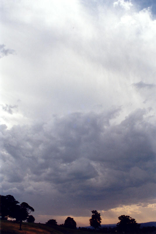 cumulonimbus thunderstorm_base : McLeans Ridges, NSW   28 September 2002