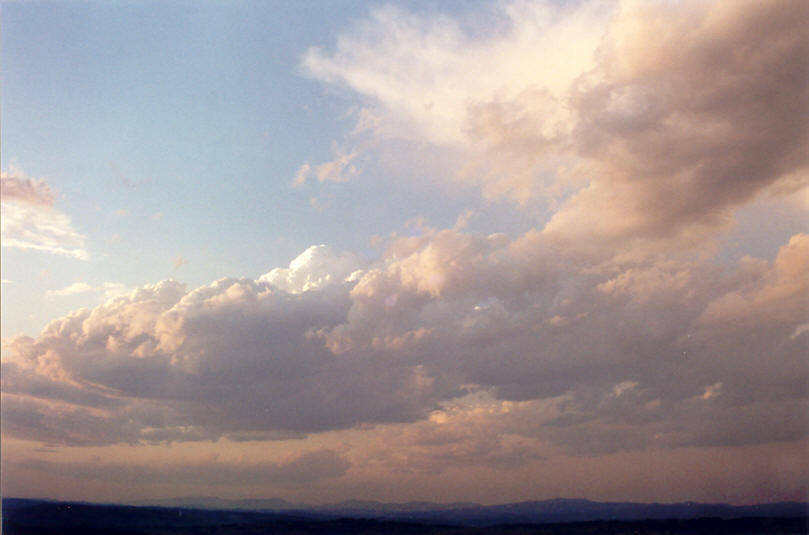 cumulus mediocris : McLeans Ridges, NSW   28 September 2002