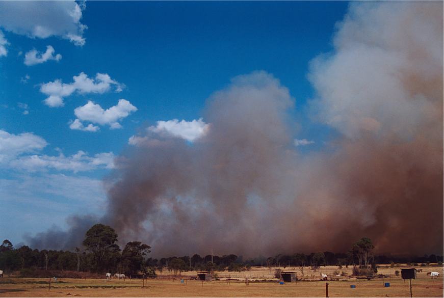 cumulus humilis : Rooty Hill, NSW   4 October 2002